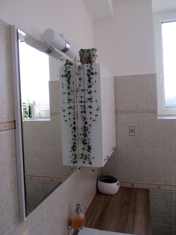 Pic 1